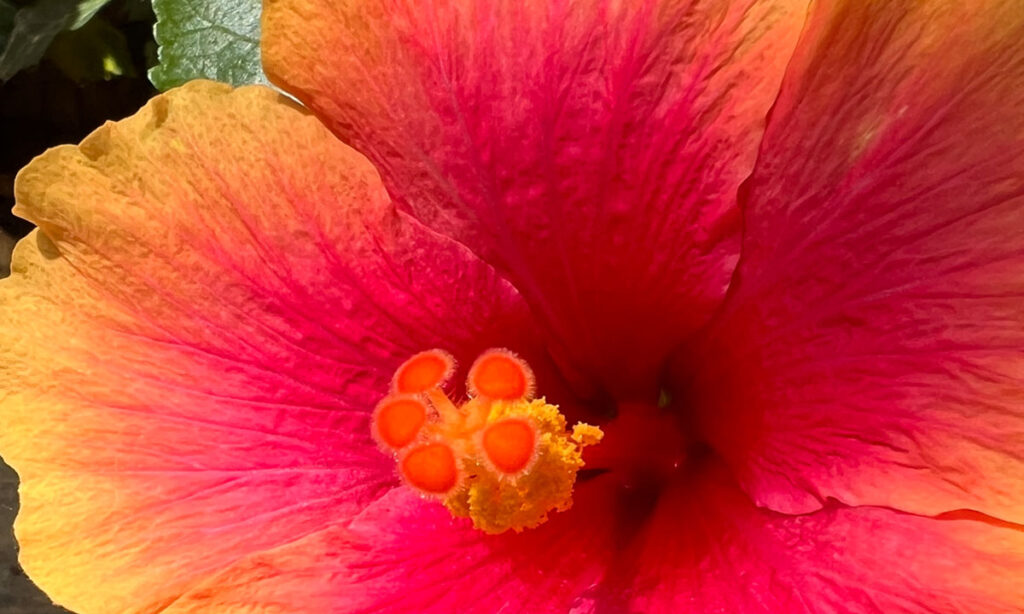 Kostenloses Erstgespräch