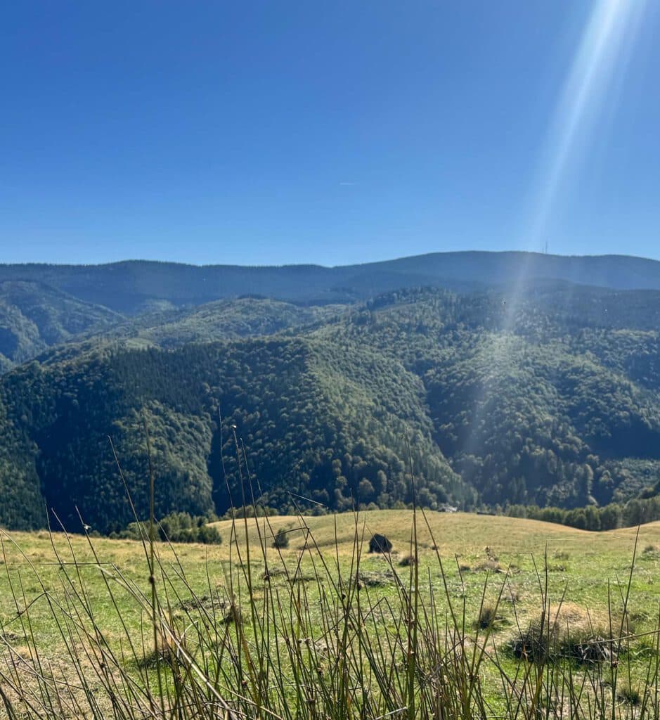 gruene Berge, blauer Himmel, saftige grüne Wiese im Vordergrund, Sonnenschein - Termine und Honorar